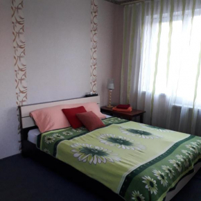 Apartment on Kurenevka.